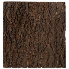 Repti Planet Cork Background