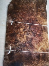  Burr/Burl Walnut Veneer  44