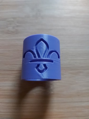 Scouting plastic purple - uk,