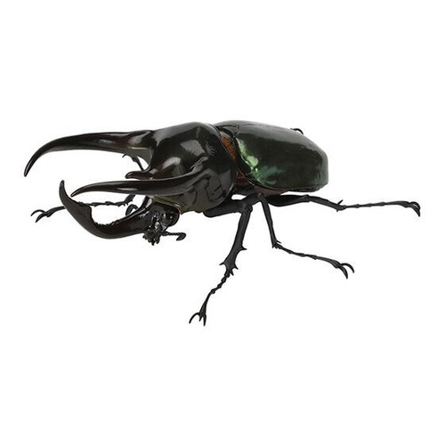 Bandai rhinoceros beetle 06 - ,