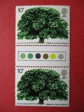 1974 Horse Chestnut Tree