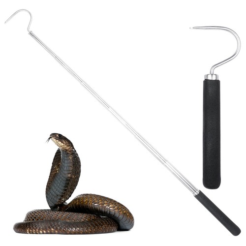 Pocket snake hooks reptile - /,