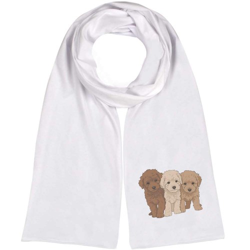 Nice poodles puppies - poodles, puppies'