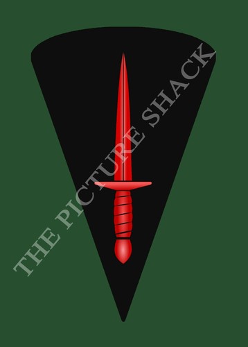 Army commando trf badge - commando,