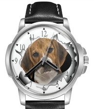 Dog Collection Jack Russell