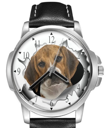 Dog collection jack - jack, russell