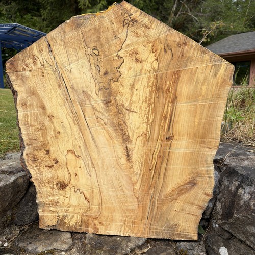 Silver birch crotch wood - birch,