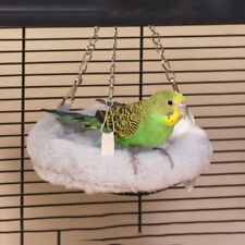 Parakeet Cotton Nest Bird
