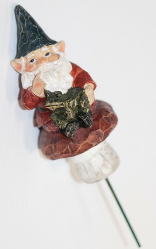 Garden gnome frog on - garden,