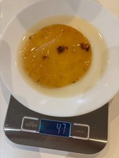 11cm 47g Large Home Made Kombucha Scoby Starter Tea Probiotic Free Postage