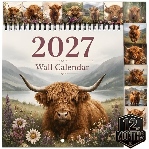 Cute highland cow - highland,