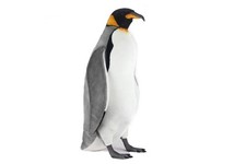 Standing King Penguin 6980 by