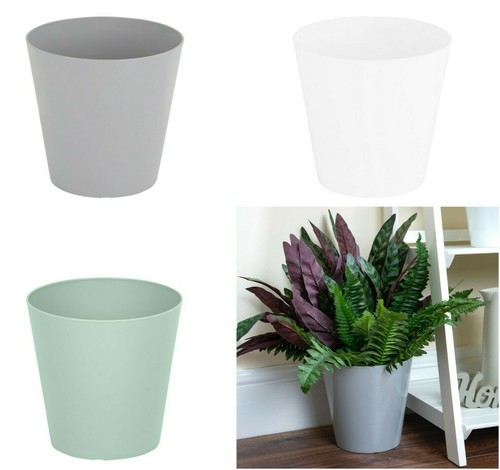 Plants pots indoor - plants,