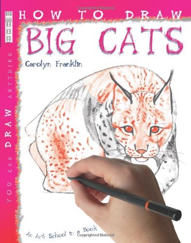 How draw big cats by - how,