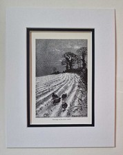 WATKINS-PITCHFORD (BB)