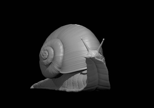 Giant snail for - for, dungeons