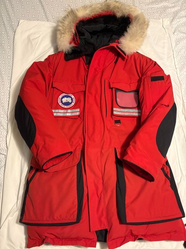 Canada goose snow - canada, mantra