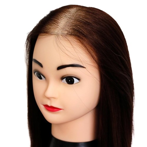 Hair mesh integration - mesh, training