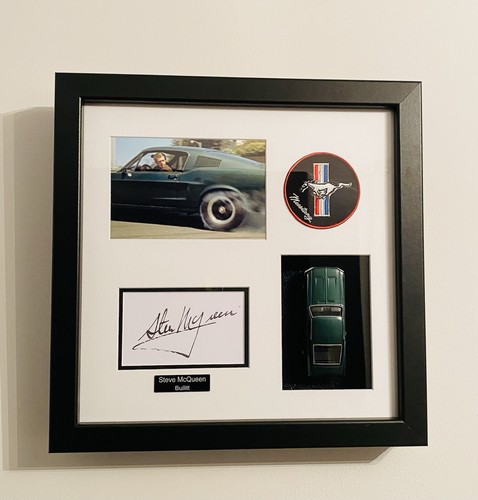 Ford mustang steve - ford,