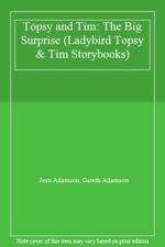 Topsy and Tim: The Big