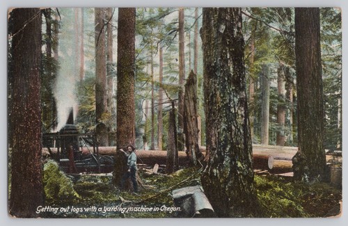 Logging timber oregon - logging,