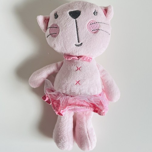 Bhs cat kitten - bhs,