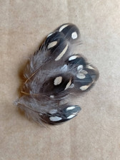 Fly tying / Native crafts /