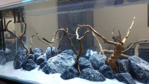 Aquarium stone rock - aquarium,