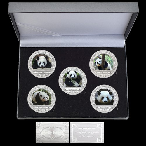 5pc china panda endangered - 5pc,