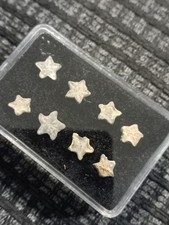 Crinoid Stars, Jurassic, Morocco ( Fairy Stars )