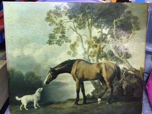 George stubbs bay - george,