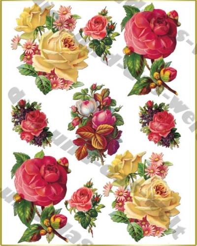 Romantic vintage roses - vintage,