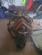 Brand New Shetland Pony