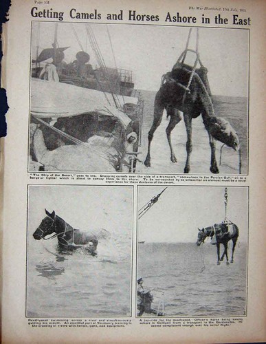 Old antique print 1915 ww1 - old,