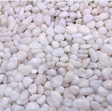 Aleker River Rock Stones Pebbles for Plants