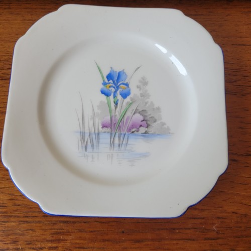 Shelley 2111 blue - 2111, iris