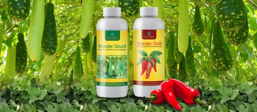 Chilli and gourd plant food - and,