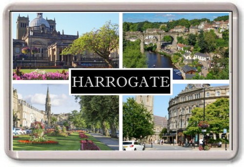 Fridge magnet harrogate - fridge,