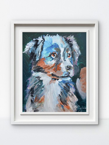 Original australian shepherd - original,