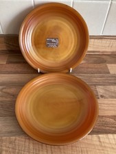 2 x VINTAGE ARCOPAL FRANCE
