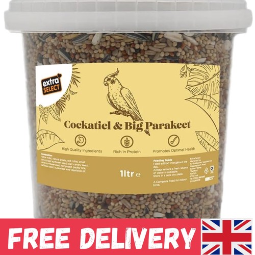 Nutritious bird seed - bird, mix