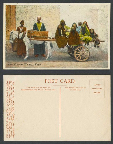 Egypt old color postcard - color,