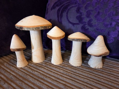 Wooden mushroom set - wooden,