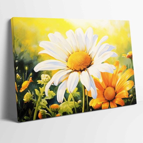 Stunning daisy flower - stunning,