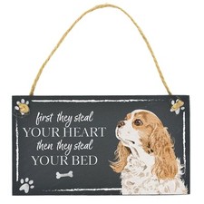 Cavalier King Charles Spaniel