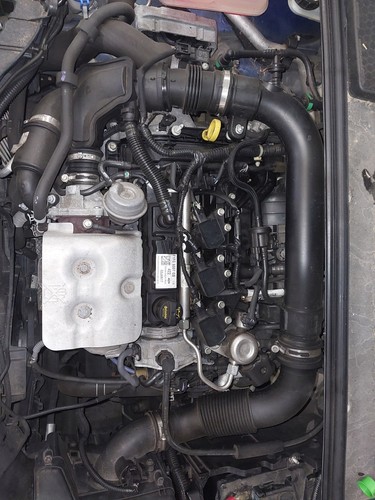 Engine ford focus - ford,