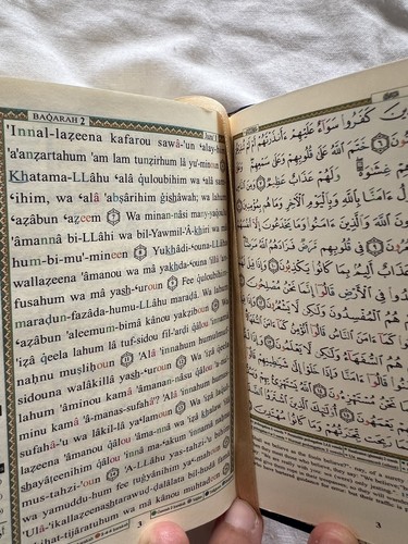 Quran arabic mushaf tajweed - quran,