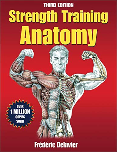 Strength training anatomy - training,