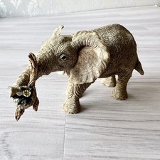 Tuskers Elephants Paw Prints