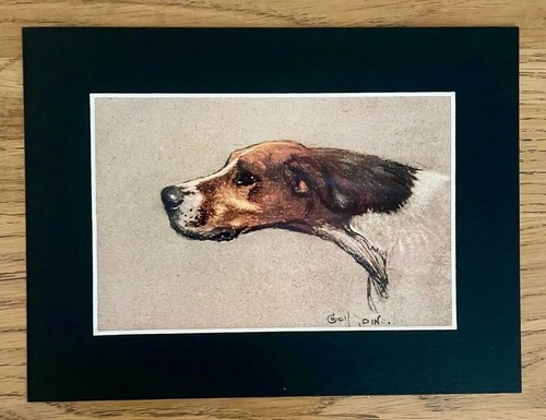 Pointer dog print cecil - pointer,